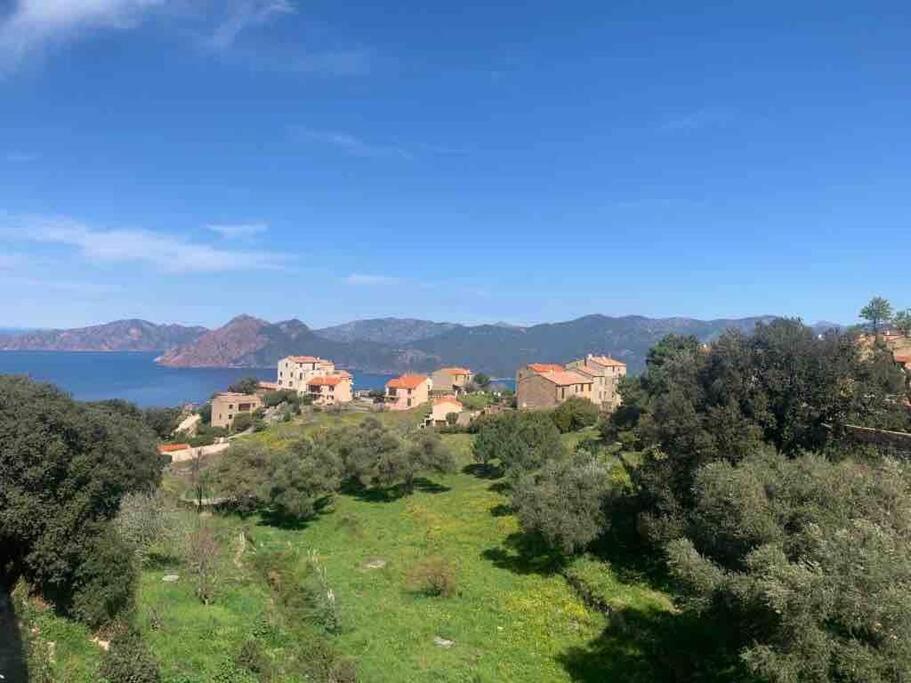 Appartement De Standing Piana Piana  Exterior foto